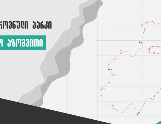 საზღვრის დადგენისა და მიწის სარეგისტრაციო დოკუმენტაციის მომზადება მტირალას ეროვნული პარკისთვის