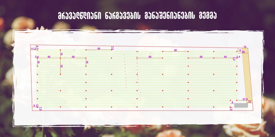 საკადასტრო აზომვა